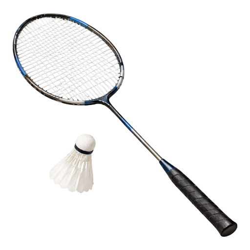 Racket & Indoor Sports